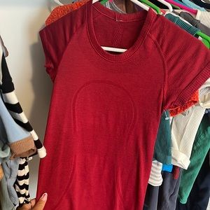 Beautiful red swiftly